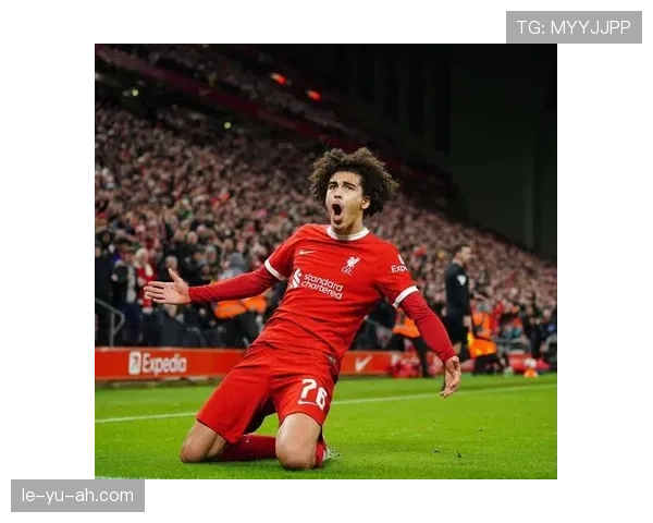 联赛新星评选揭晓，年轻球员状态回暖成焦点