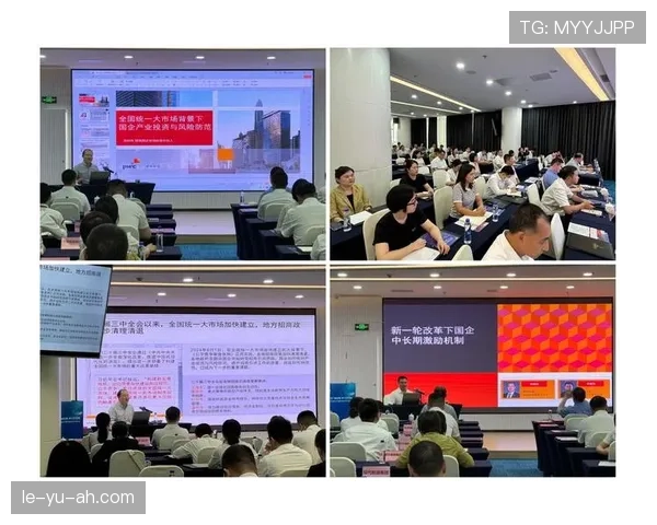 巴雷拉组织能力提升会议聚焦国家治理效能与社会发展新路径